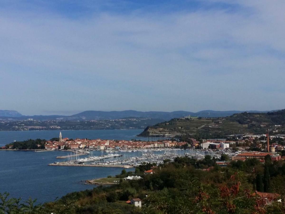 Mare-Sole Apartment Izola Bagian luar foto